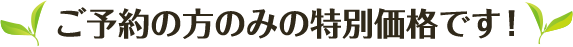 ���\��̕��݂̂̓��ʉ��i�ł��I